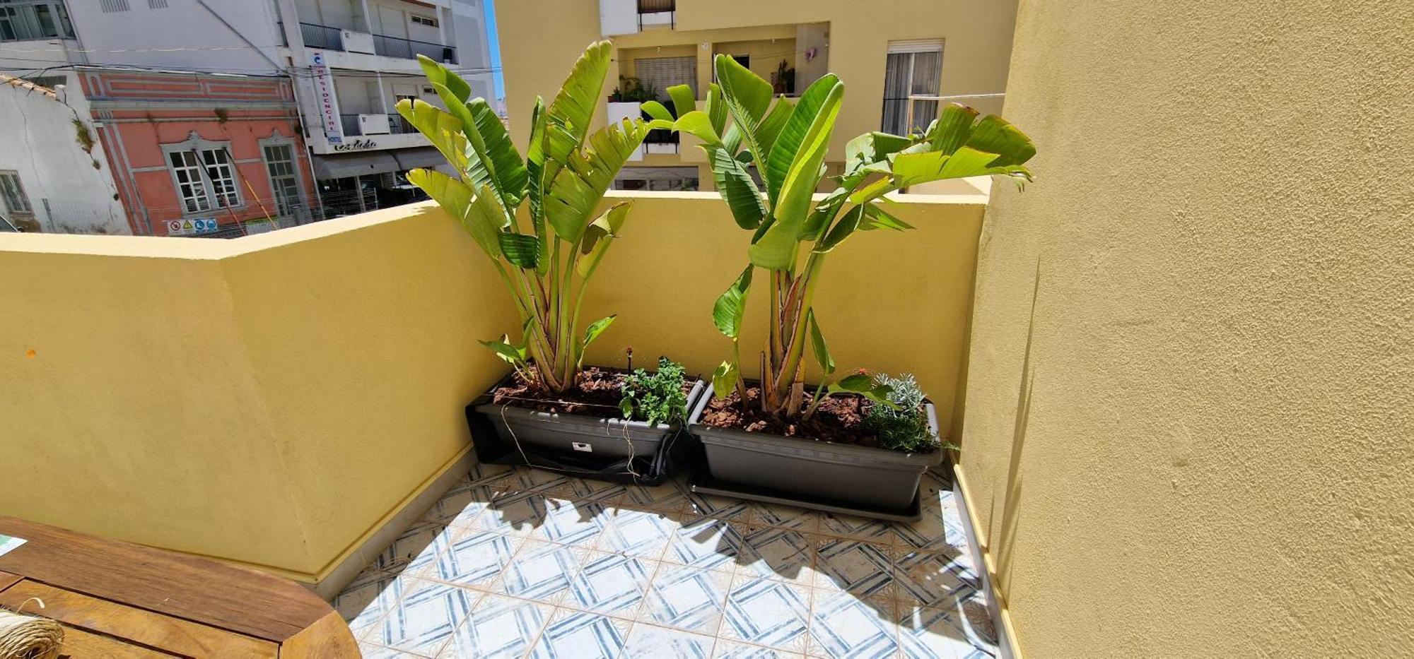 Casa Da Acoteia Apartment FAO Exterior foto